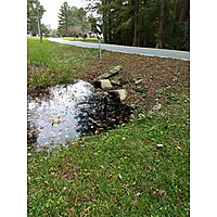 Chesapeake King Tide image